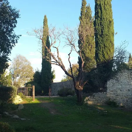 L'Esprit Montpel 