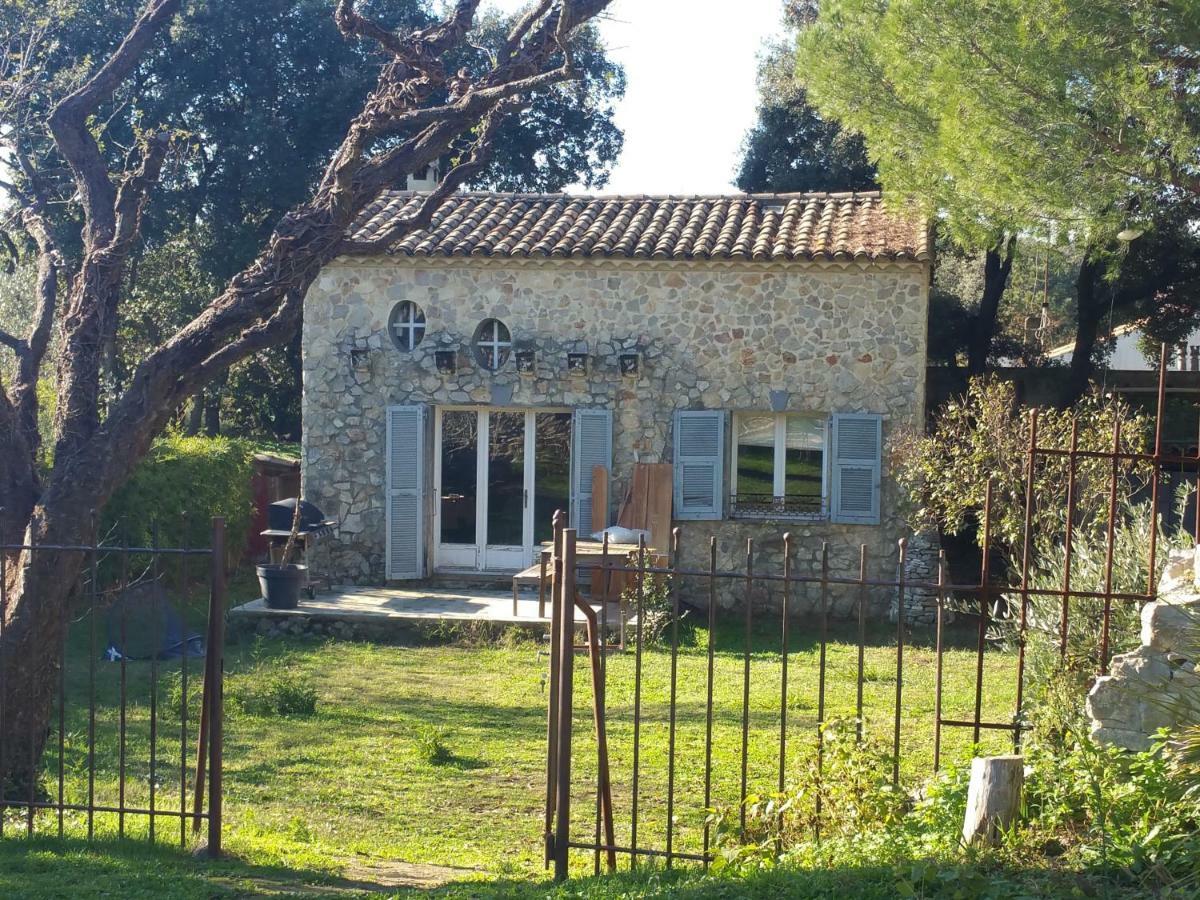L'esprit Montpel 
