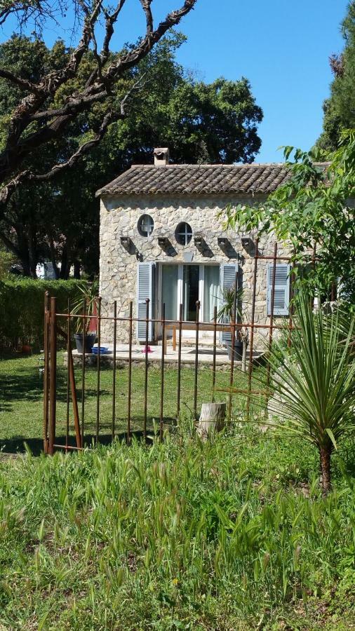 L'esprit Montpel 
